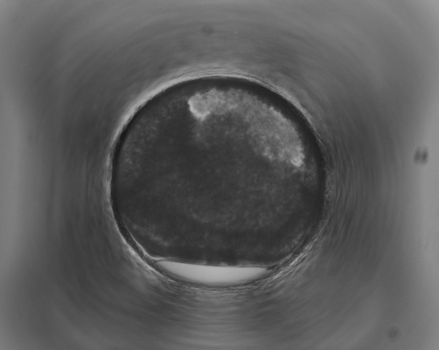 X0000097631508200803281047