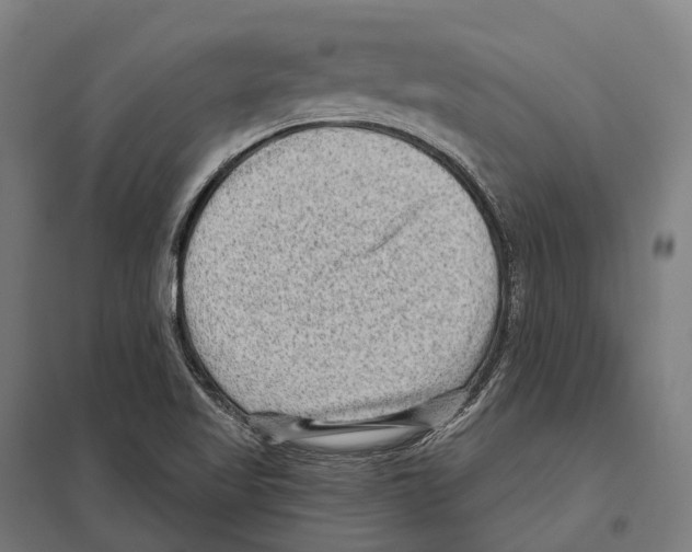 X0000097631509200803281047