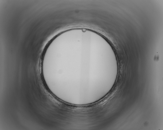 X0000097631510200803281047