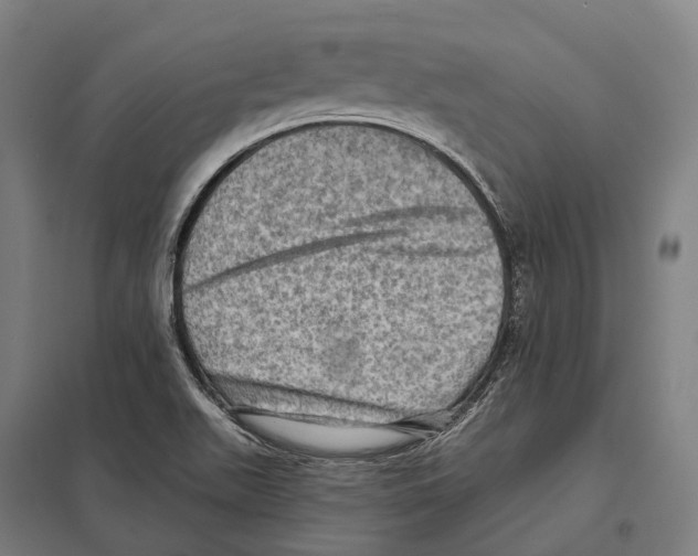 X0000097631511200803281047