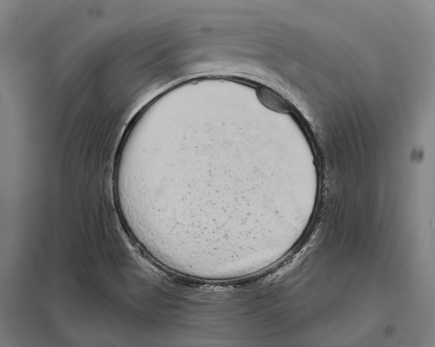 X0000097631513200803281047