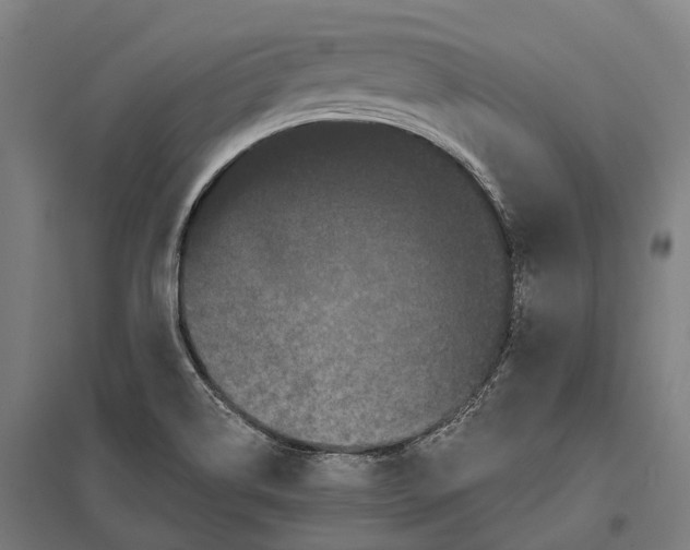 X0000097631514200803281047