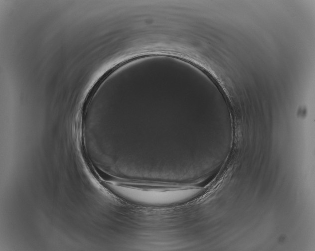 X0000097631515200803281047