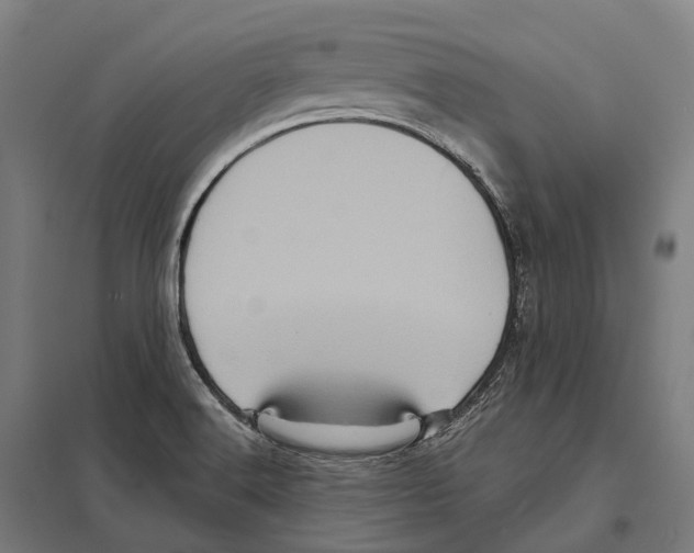 X0000097631516200803281047