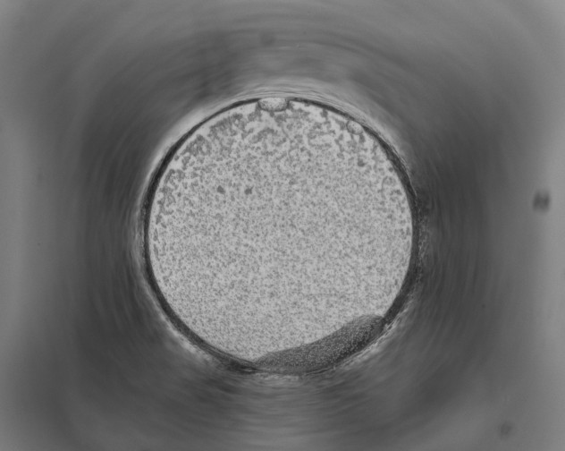 X0000097631517200803281047