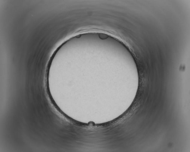 X0000097631518200803281047