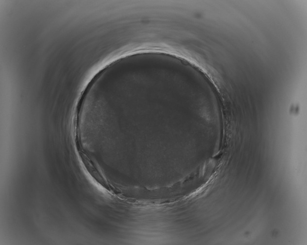 X0000097631519200803281047