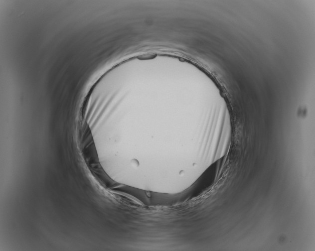 X0000097631520200803281047