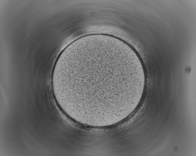 X0000097631521200803281047