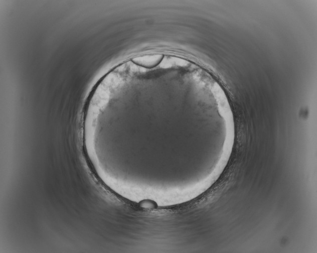 X0000097631522200803281047