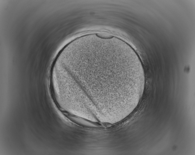 X0000097631523200803281047