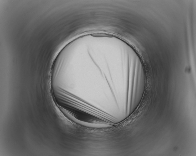 X0000097631524200803281047