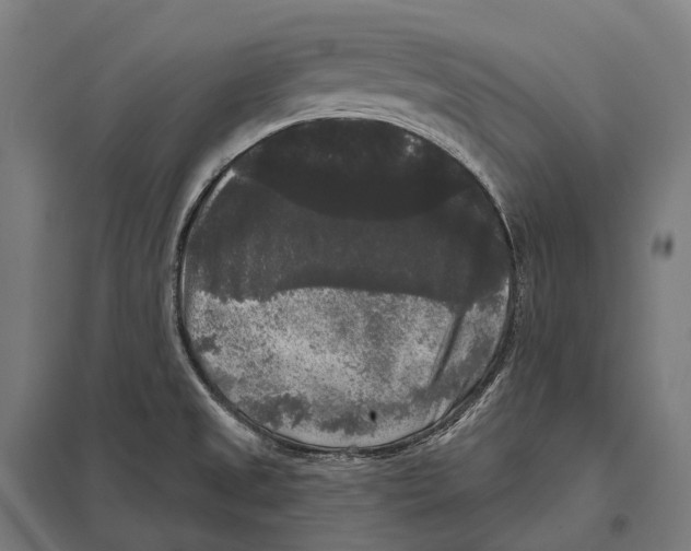 X0000097631525200803281047