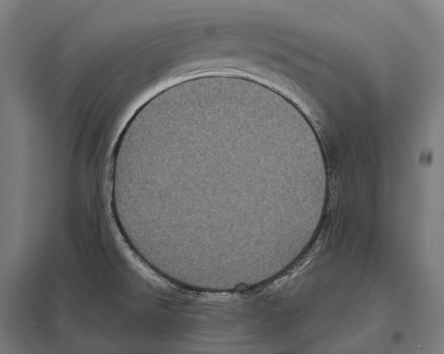 X0000097631526200803281047