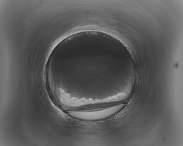 X0000097631527200803281047