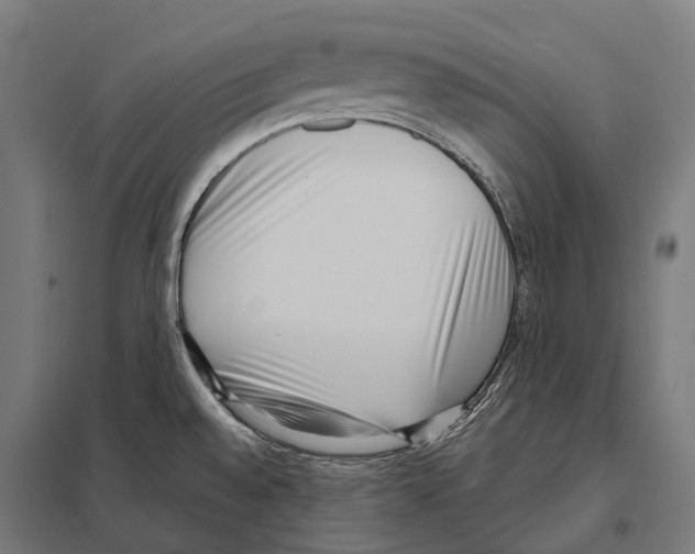 X0000097631528200803281047