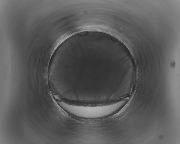 X0000097631529200803281047