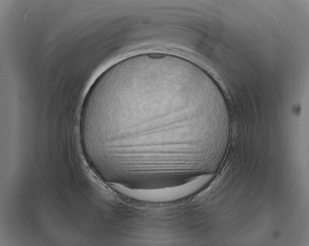 X0000097631530200803281047