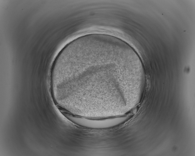 X0000097631531200803281047