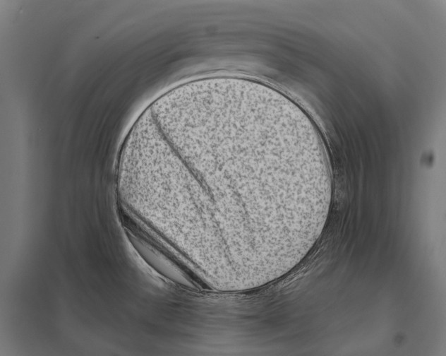 X0000097631532200803281047