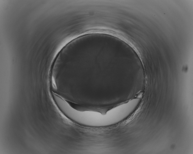 X0000097631533200803281047