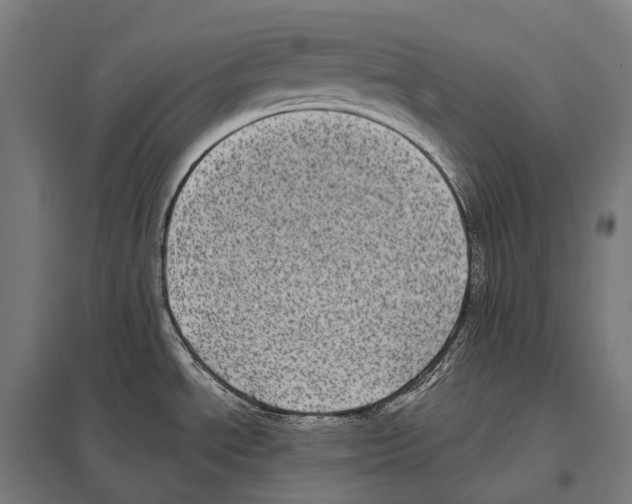 X0000097631534200803281047