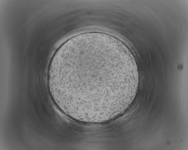 X0000097631535200803281047