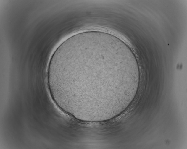 X0000097631536200803281048