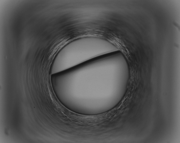 X0000097640001200802290833