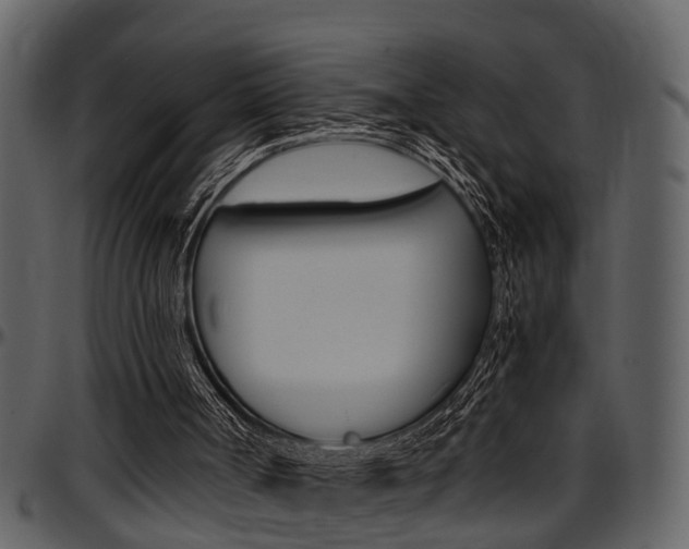 X0000097640002200802290833