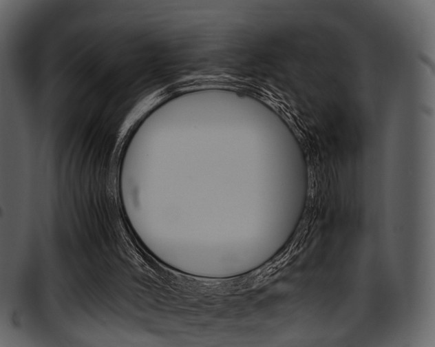 X0000097640004200802290833