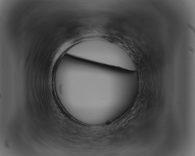 X0000097640006200802290833