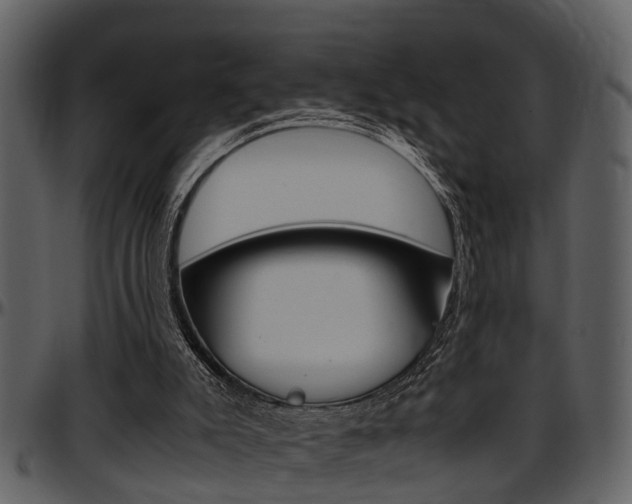 X0000097640007200802290833