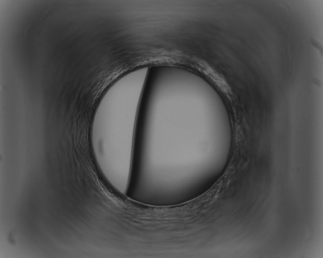 X0000097640009200802290833