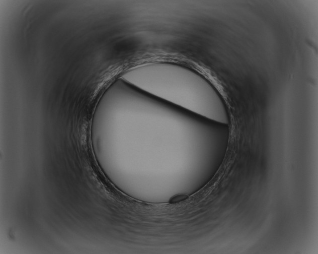 X0000097640010200802290833