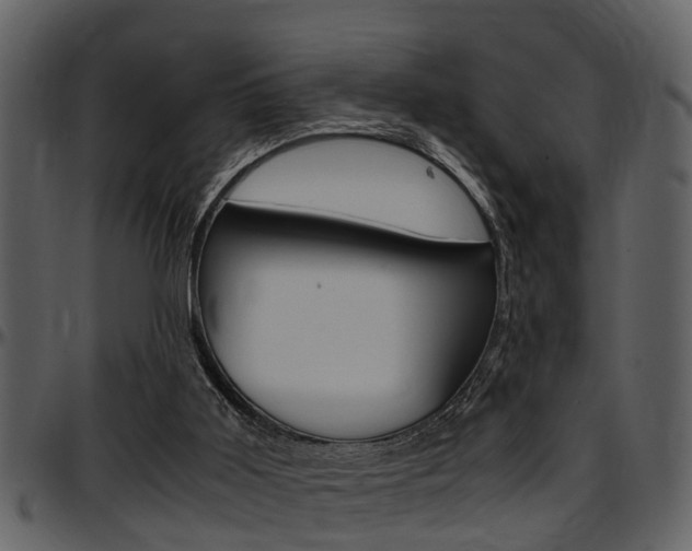 X0000097640011200802290833