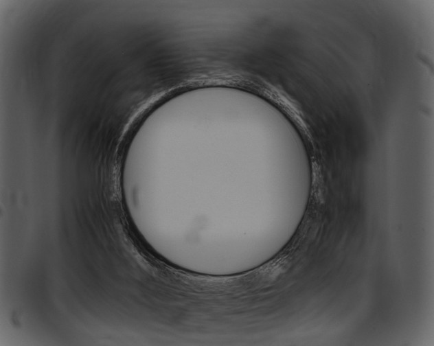 X0000097640012200802290833