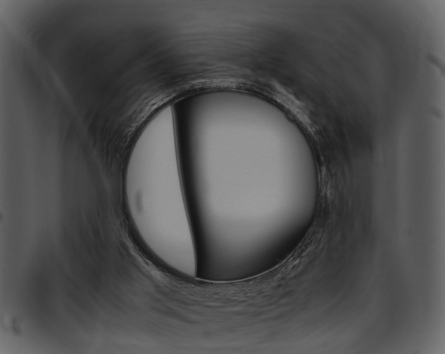 X0000097640013200802290833