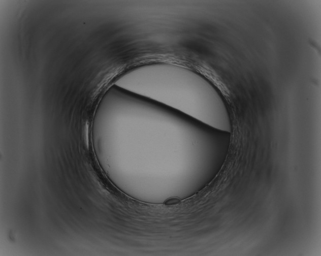 X0000097640014200802290833