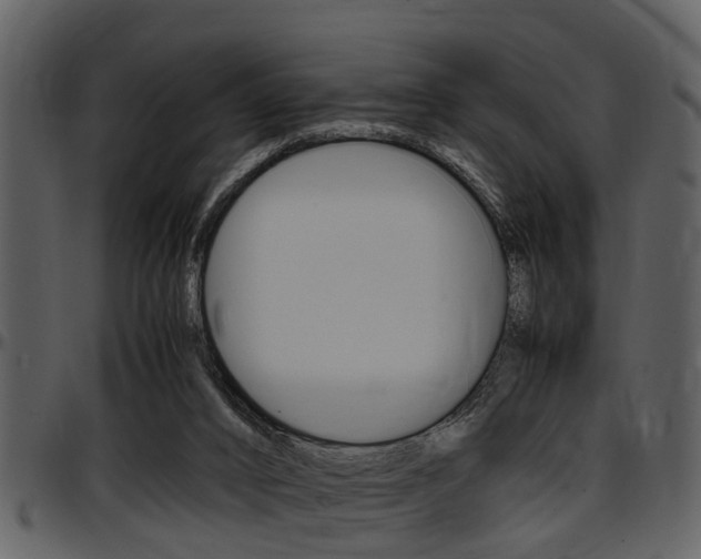 X0000097640016200802290833