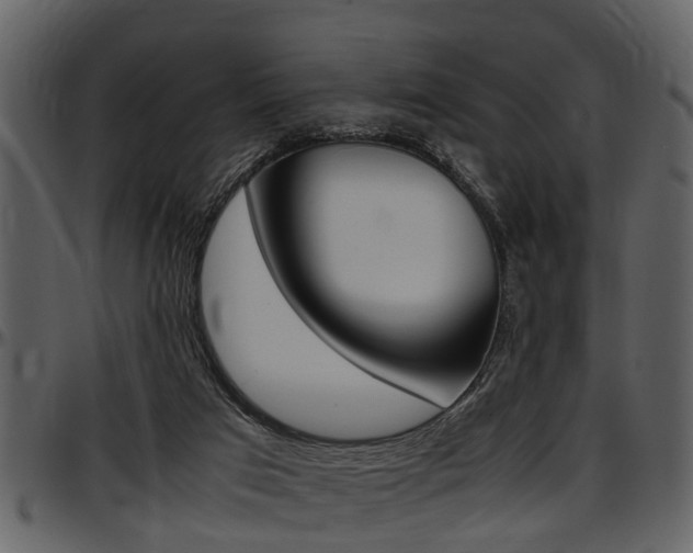 X0000097640017200802290833