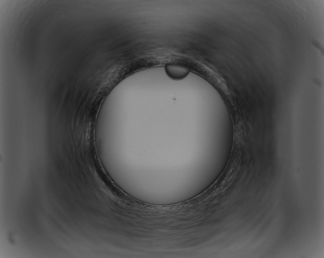 X0000097640018200802290833