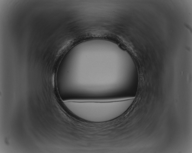 X0000097640019200802290833