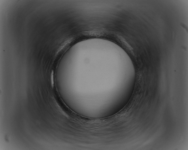 X0000097640020200802290833
