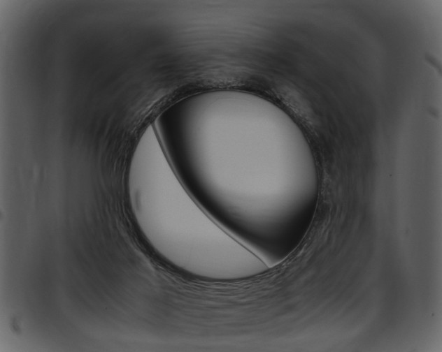 X0000097640021200802290833