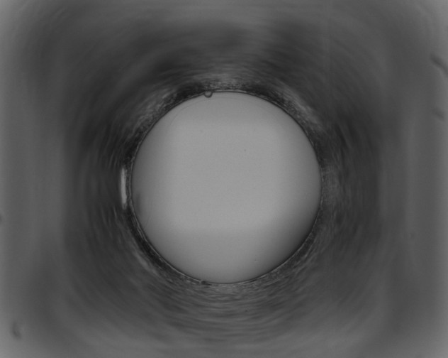X0000097640022200802290833