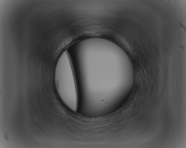 X0000097640023200802290833