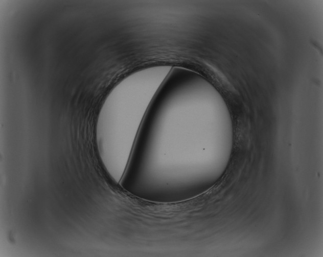 X0000097640025200802290833