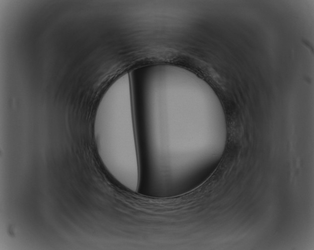 X0000097640027200802290833