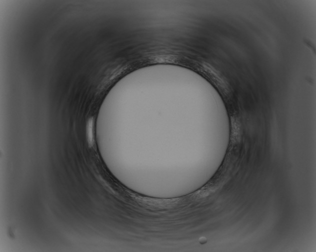 X0000097640028200802290833